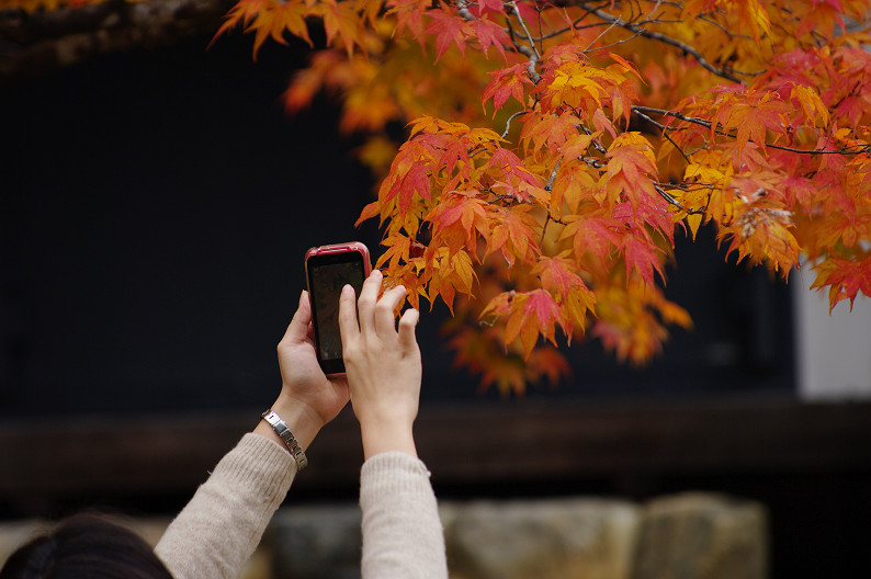 紅葉 2012　～神護寺～_f0152550_20294336.jpg