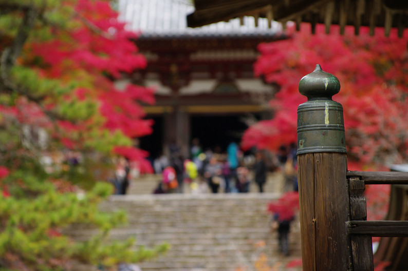 紅葉 2012　～神護寺～_f0152550_2029927.jpg