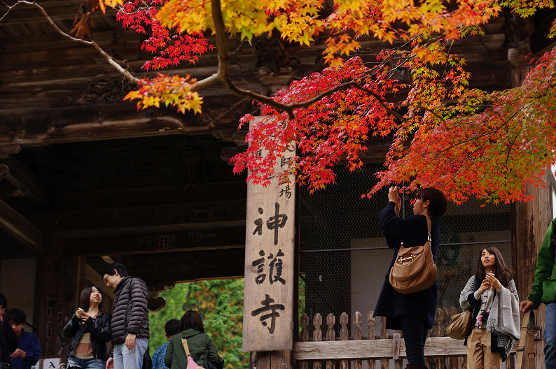 紅葉 2012　～神護寺～_f0152550_20301429.jpg