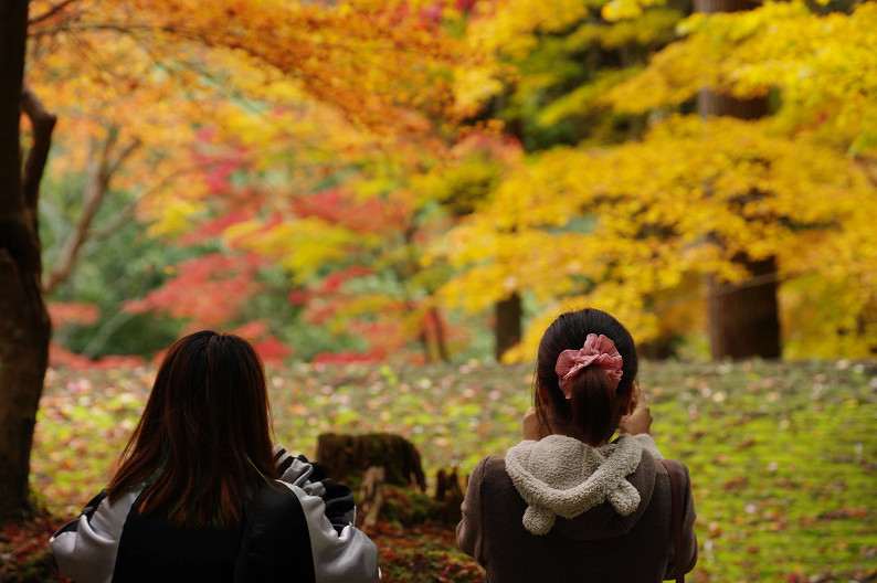 紅葉 2012　～神護寺～_f0152550_20303669.jpg