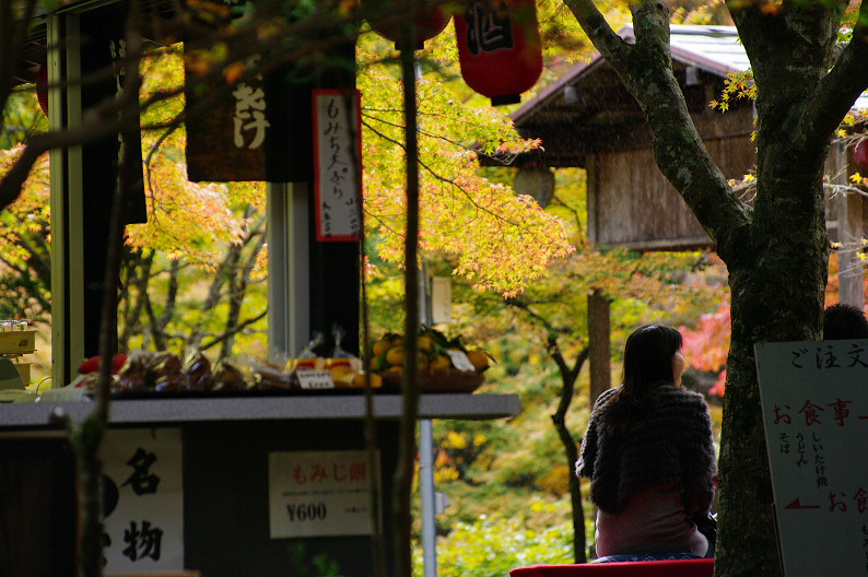 紅葉 2012　～神護寺～_f0152550_20305583.jpg