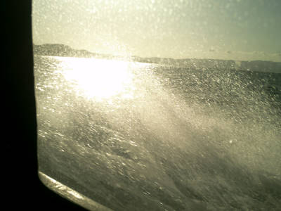 e0033751_1035165.jpg