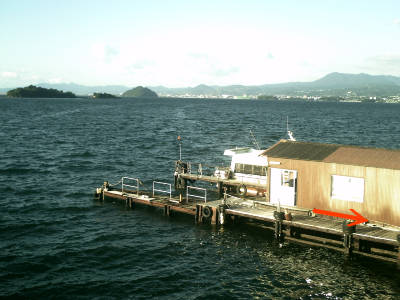 e0033751_1043254.jpg
