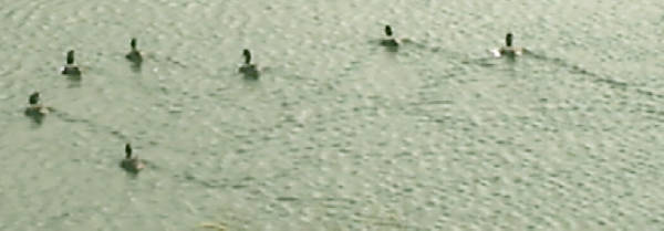 e0033751_9335837.jpg