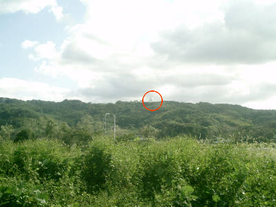 e0033751_933646.jpg