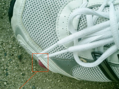 e0033751_9462717.jpg