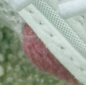 e0033751_9471048.jpg