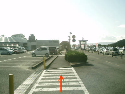 e0033751_9542571.jpg