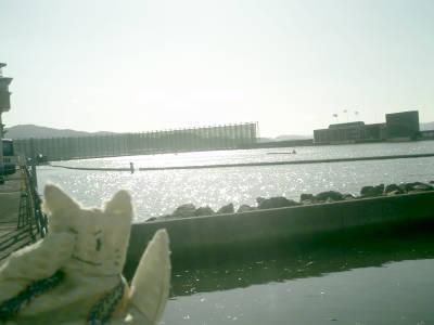 e0033751_95596.jpg