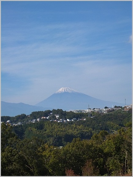 富士山を眺めながら_c0074156_302983.jpg