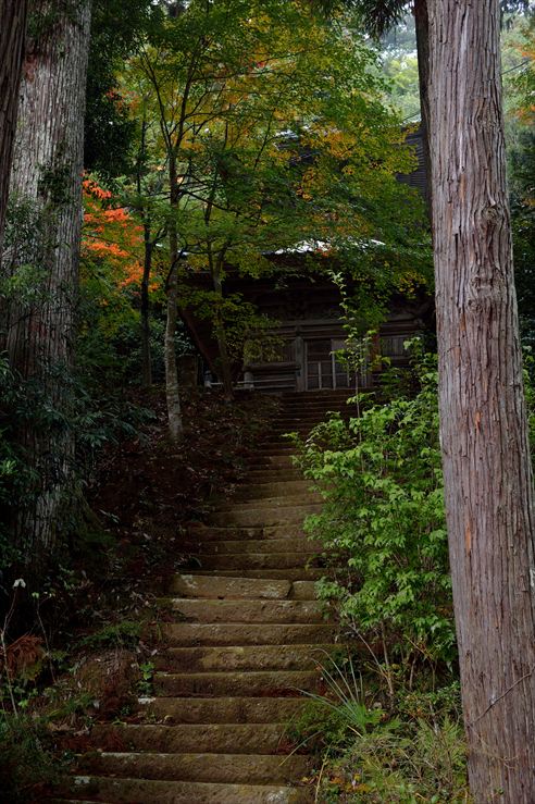 兵庫旅行　その５　城崎温泉ロープウェイ_e0170058_18203273.jpg