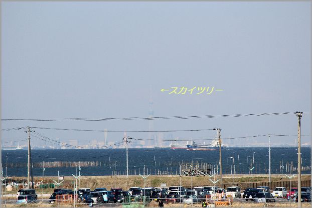 e0232963_197238.jpg