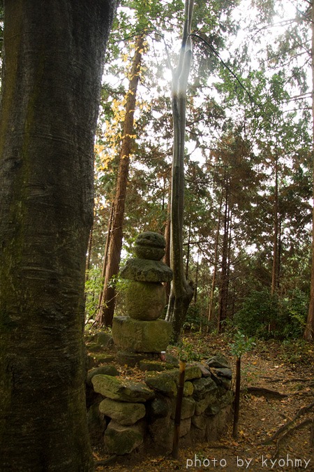 十八神社（宇陀市額井）_b0280176_10465431.jpg