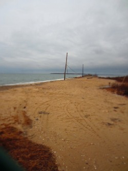 f0056476_165261.jpg