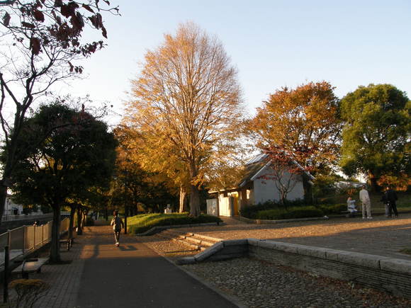 e0232277_1027932.jpg