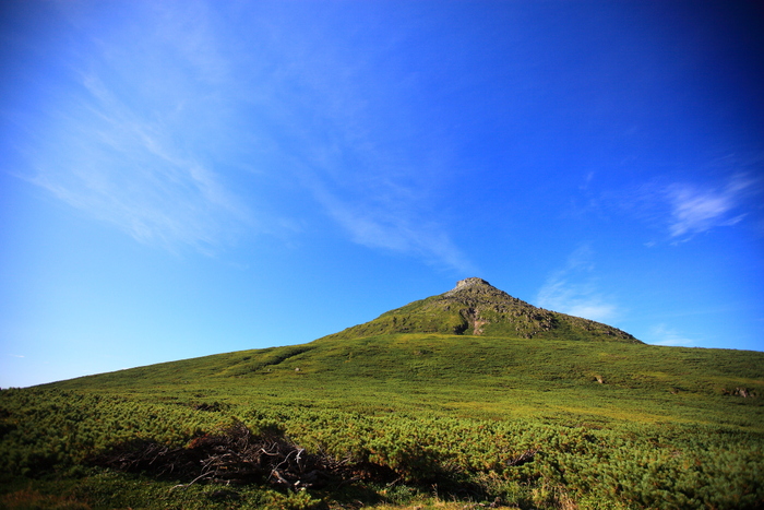 1660m　～羅臼岳　Ⅲ　羅臼平_f0057178_22175263.jpg