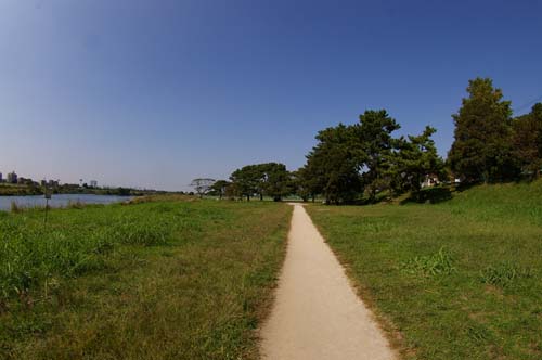 f0211178_18434964.jpg