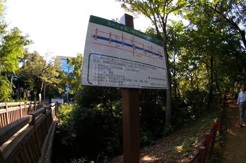 f0211178_18451051.jpg