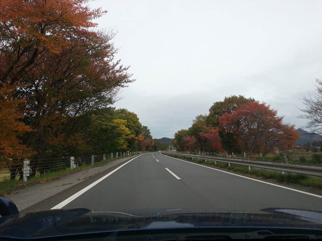 f0199881_18493740.jpg