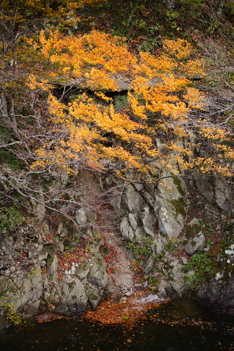 e0165983_10285155.jpg