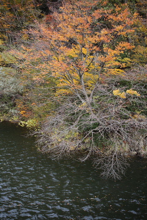 e0165983_10291765.jpg