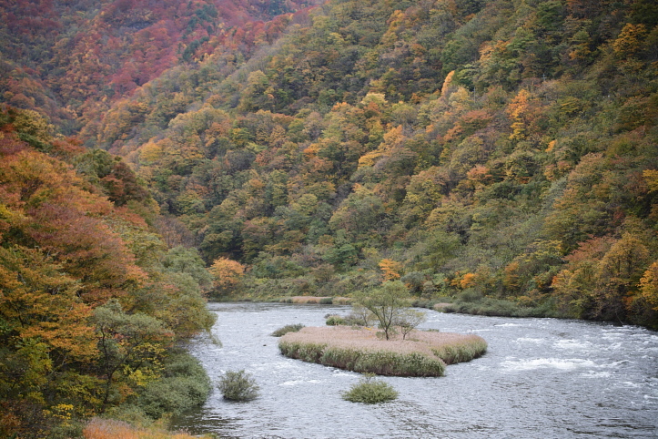 e0165983_1029457.jpg
