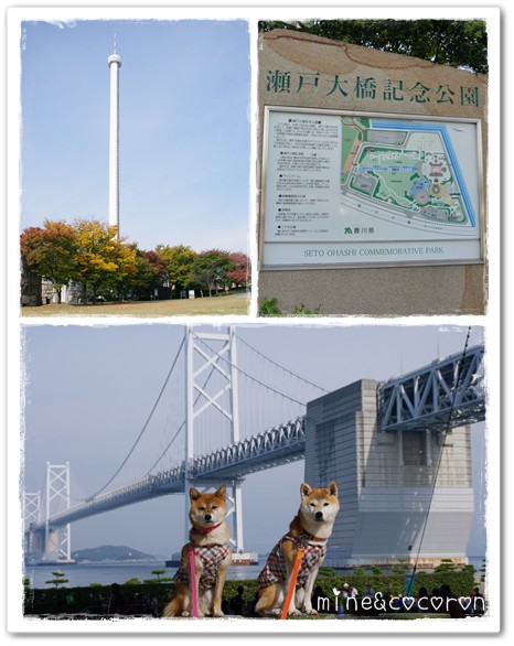 a0053987_20583840.jpg