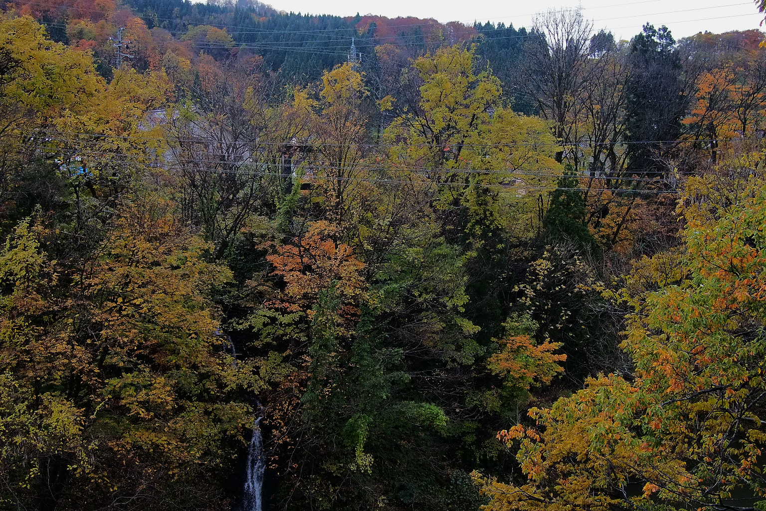 c0201088_22252951.jpg
