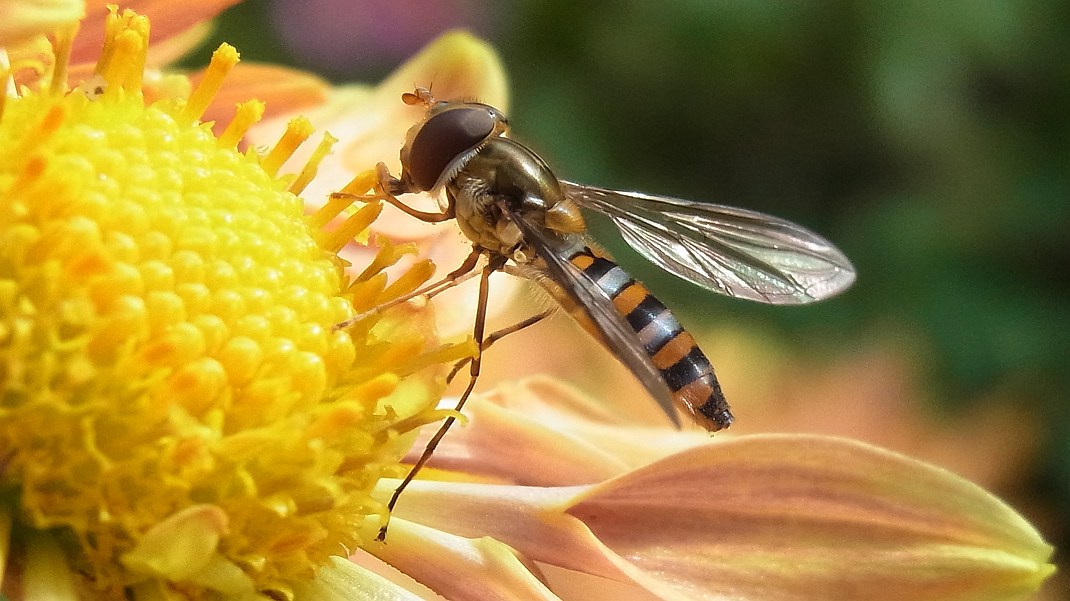 a0152692_17304595.jpg