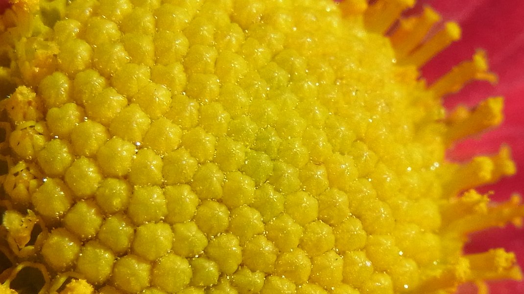 a0152692_1739182.jpg