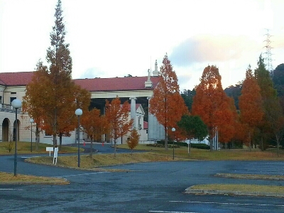 a0204696_19583483.jpg