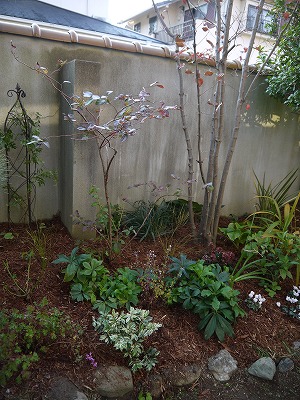河内長野市2012年11月_a0233896_2130468.jpg
