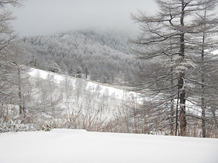 雪景色の朝_e0120896_7101659.jpg