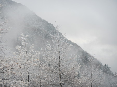 雪景色の朝_e0120896_7133016.jpg