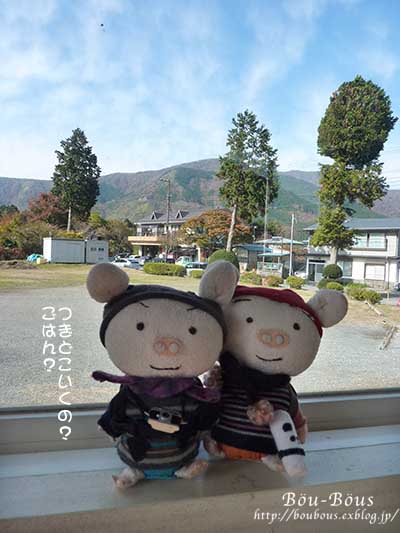 素晴らしかった箱根・仙石原のすすき_d0128697_16141248.jpg