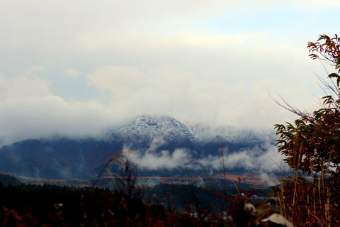 a0138198_16263962.jpg