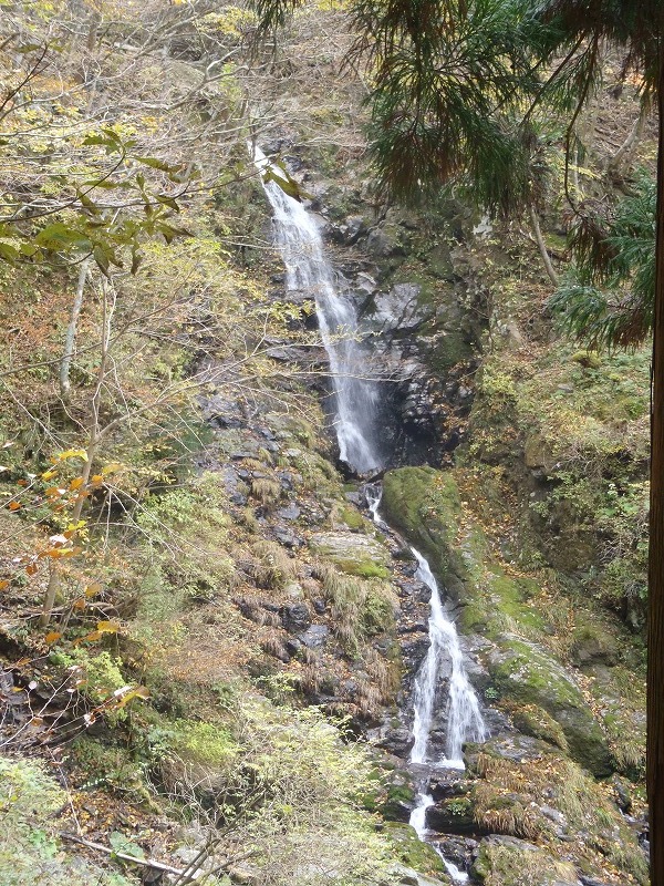 c0147398_034943.jpg