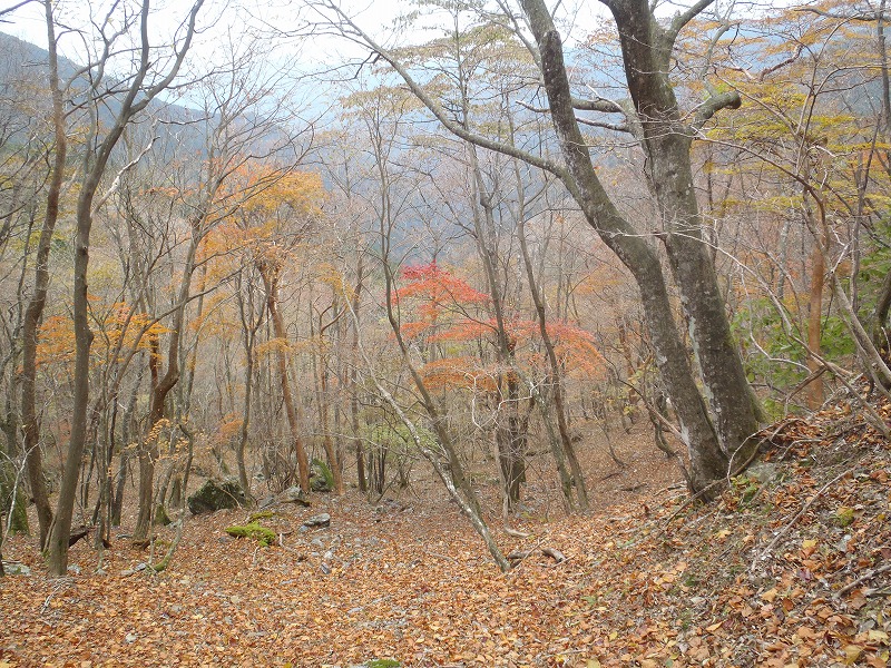 c0147398_0436.jpg