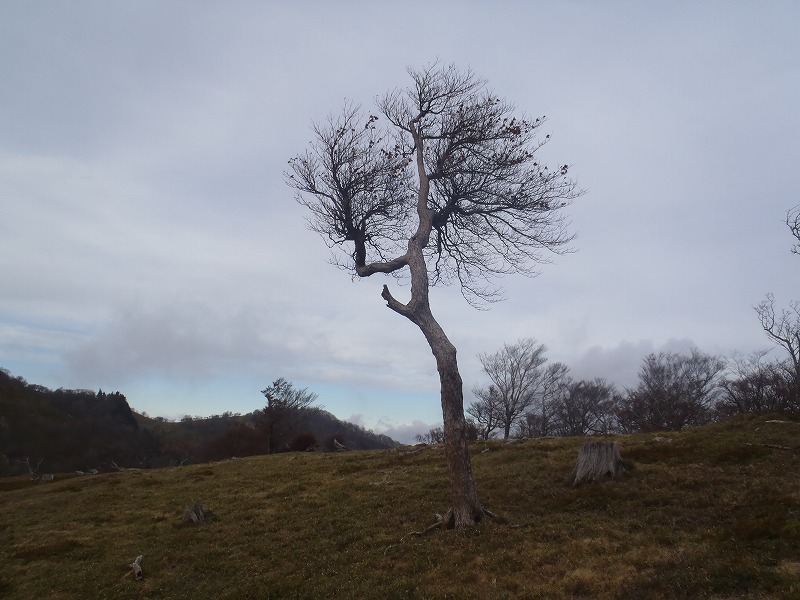 c0147398_0845.jpg