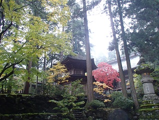 大本山永平寺研修②～命をいただくということ～_c0187298_22542290.jpg