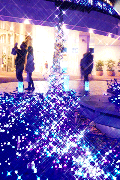 e0153701_0413624.gif