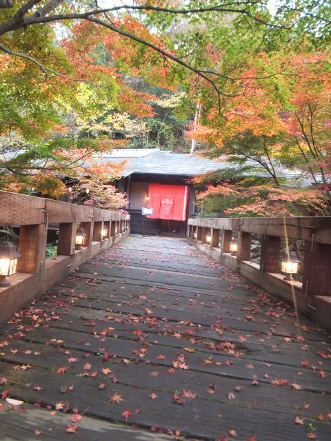 a0271502_15115669.jpg