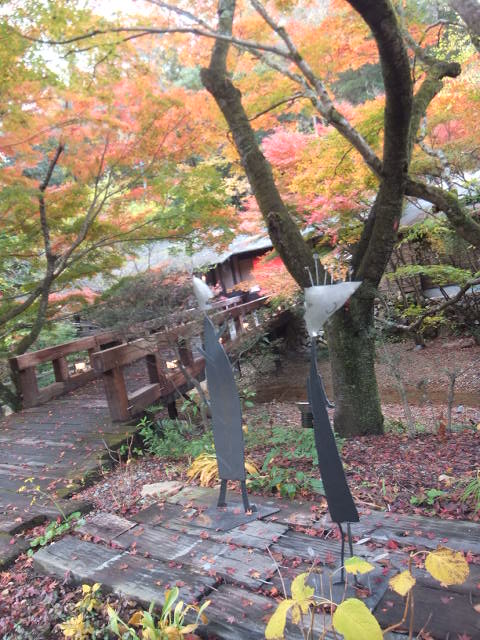 a0271502_15155413.jpg