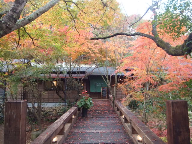 a0271502_152559.jpg