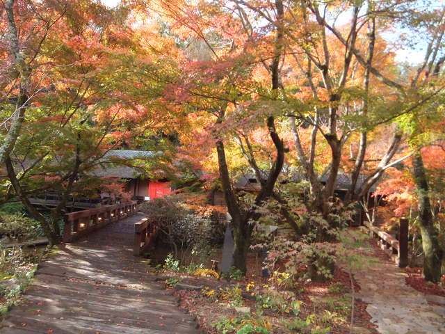 a0271502_1552061.jpg