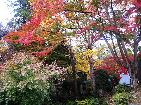 d0046702_19393932.jpg