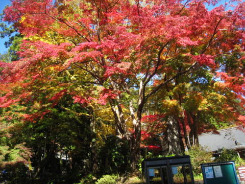 d0046702_19394947.jpg