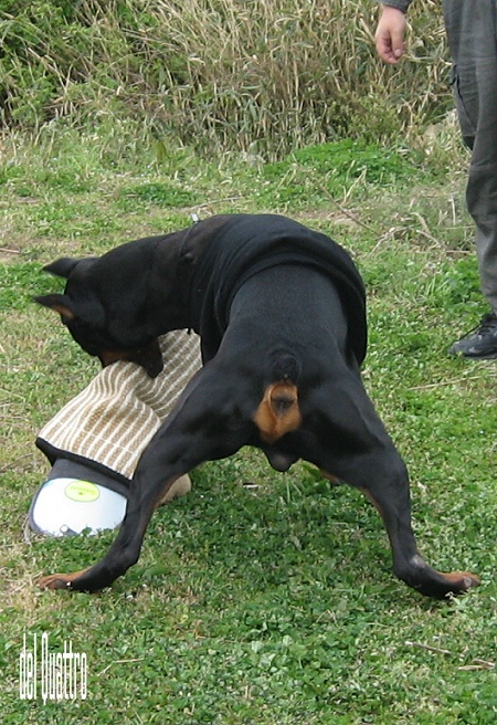 a0204003_1842581.jpg
