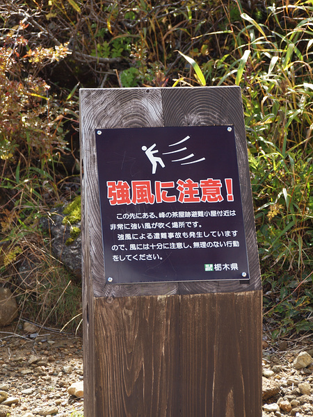 那須岳に登りました（下山道）_f0180607_844697.jpg