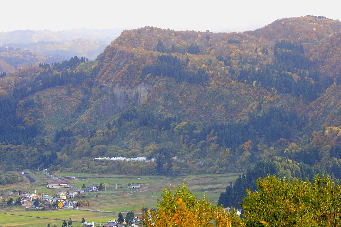 紅葉に埋もれて - 2012年秋・飯山線 - _b0190710_2021023.jpg